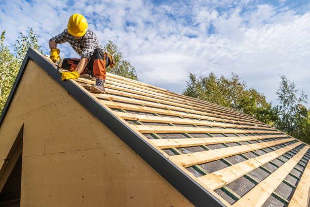 Best Roof Gutter Cleaning  in Mills, WY